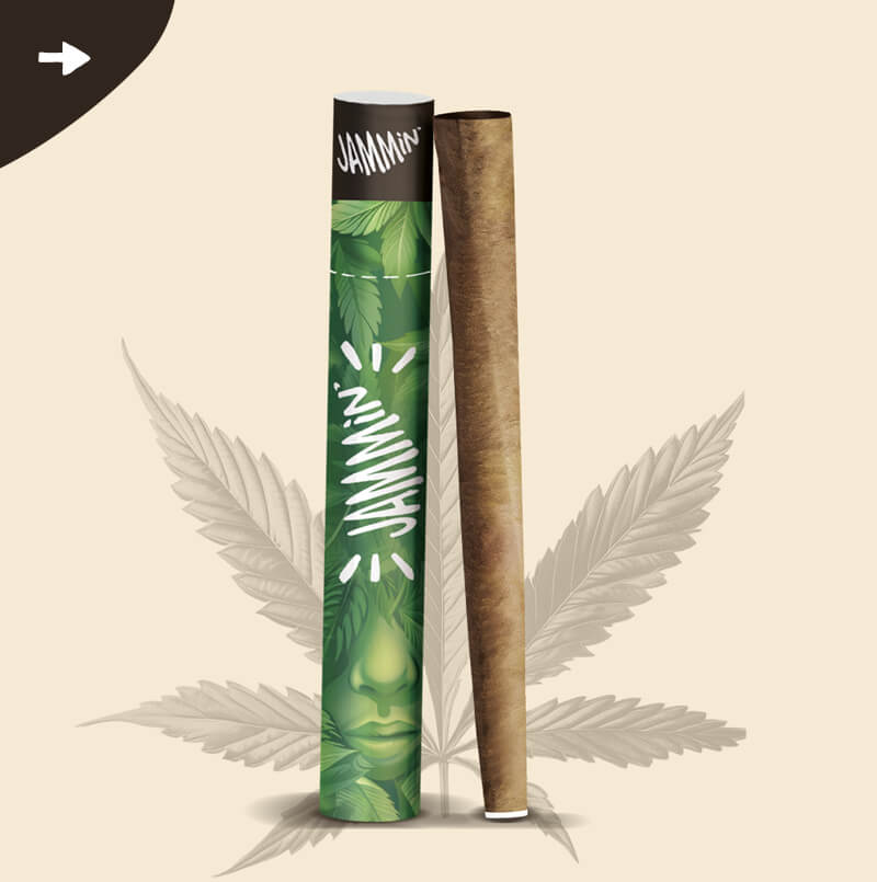 Jammin’ Hemp Cones Classic