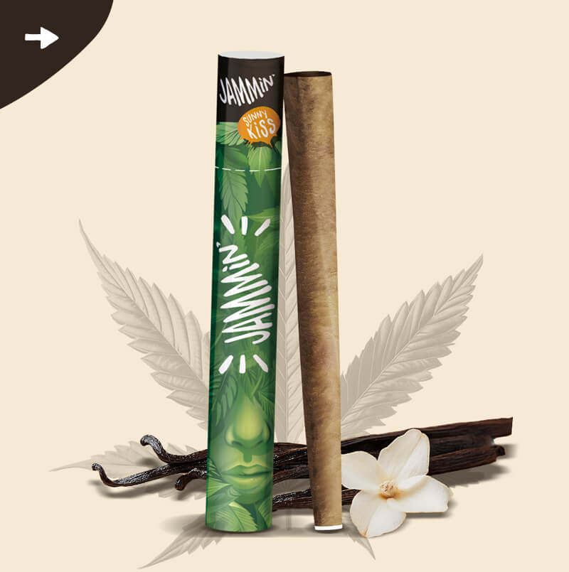 Jammin’ Hemp Cones Sunny Kiss